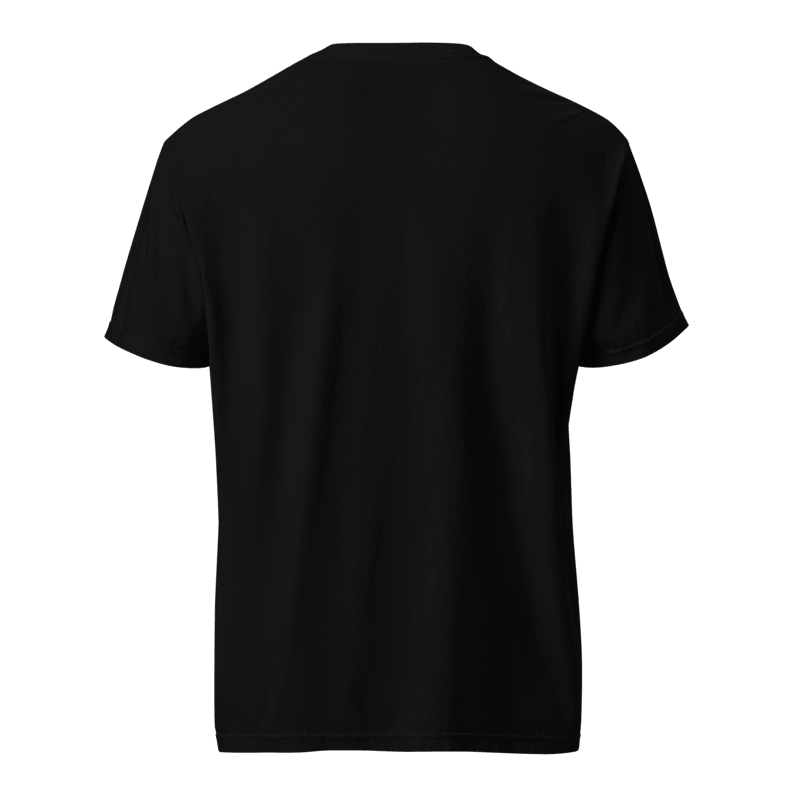 Smart unisex heavyweight t-shirt